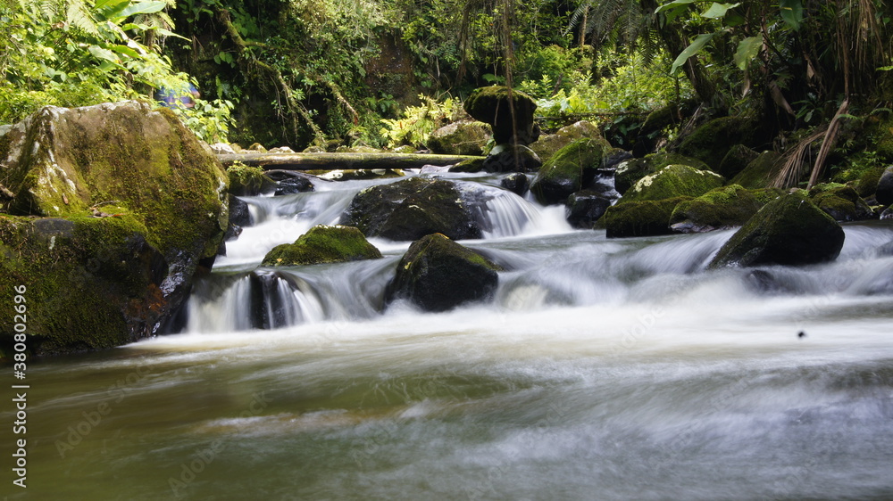 Fototapeta premium Waterfall