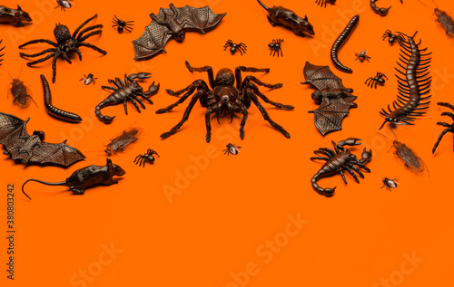 Black Halloween creepy crawly bugs and spiders on orange background with blank space for text