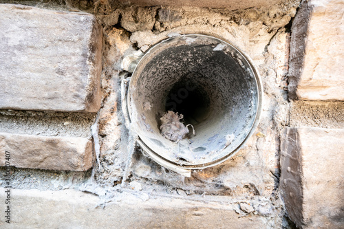 Fotografía Interior view of dryer vent line with lint and dust buildup
