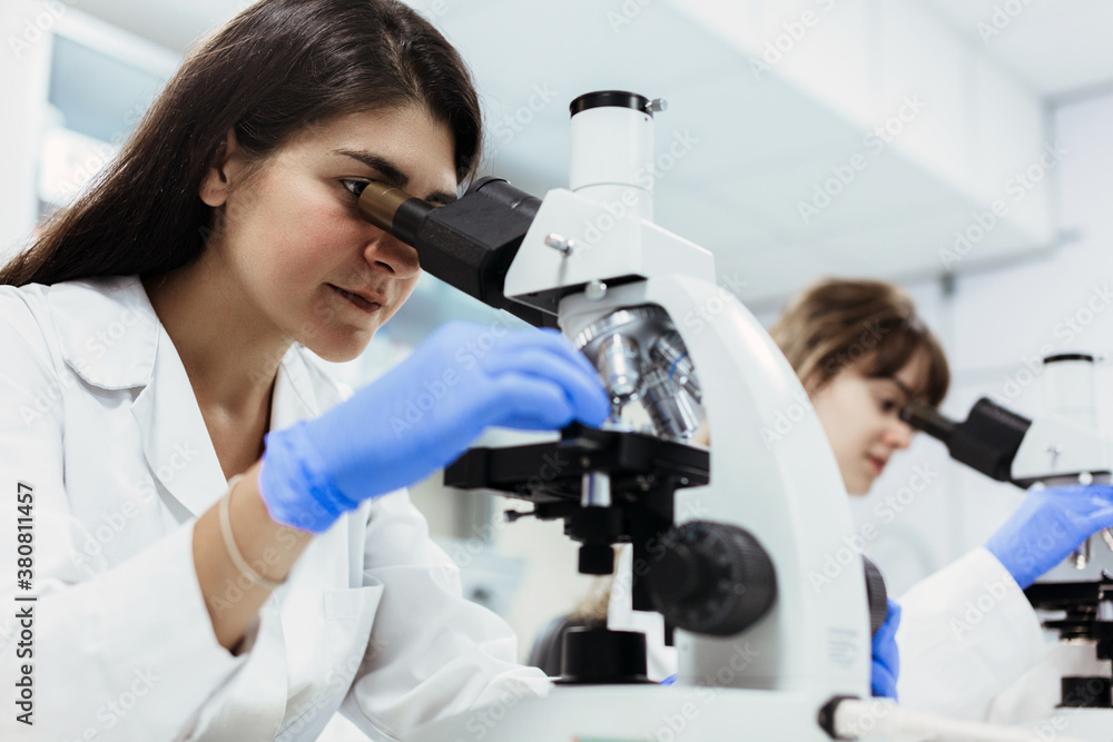 Biologists working with microscopes Biologists working with microscopes