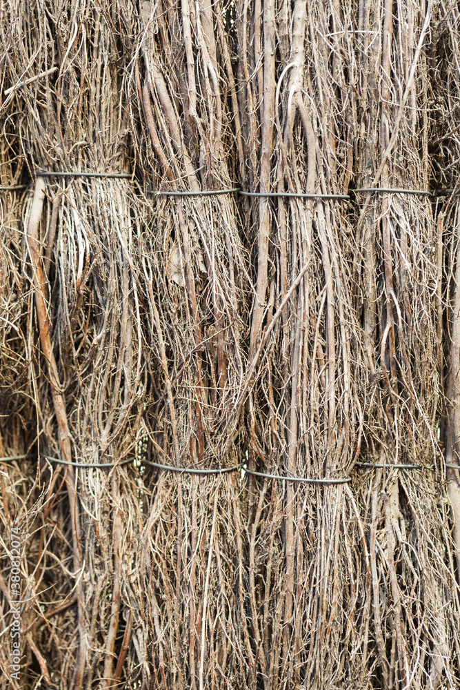 Detail of Fence Out Of Many Twigs Detail of Fence Out Of Many Twigs