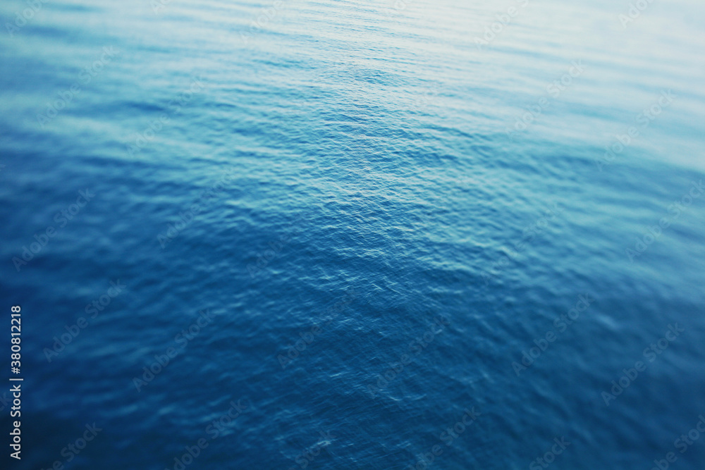 Overlooking Bright Blue Water On A Summer Morning Overlooking Bright Blue Water On A Summer Morning