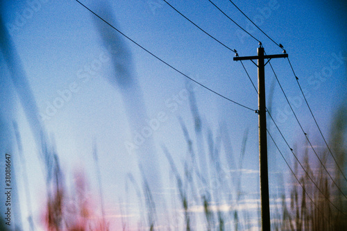 Telephone pole and electrical wires, grasses in foreground photo