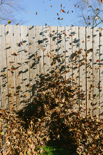 Leaf Blowin' photo