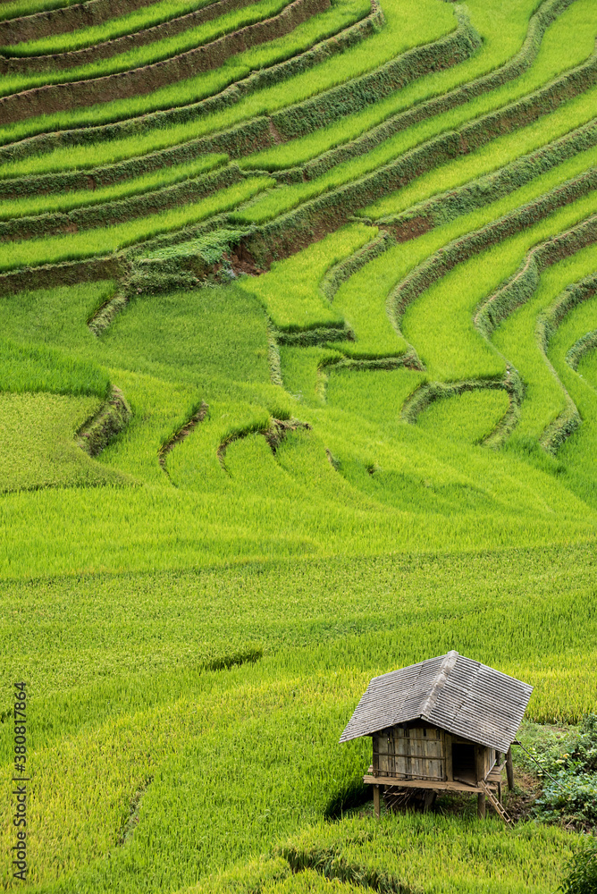 House on rice field mountainSunny rice fields with houses on top of hills. Mu Cang Chai, Vietnam. House on rice field mountainSunny rice fields with houses on top of hills. Mu Cang Chai, Vietnam.