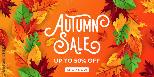 Autumn sale background vector with decorative leaves. Autumn Sale Vector background Illustration. Abstract Autumn Sale background design template for advertising  flyer  web banner  poster  brochure
