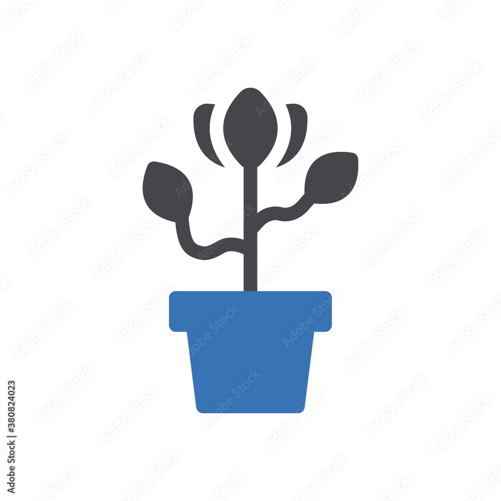 plant plant