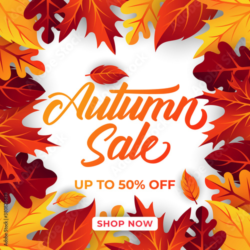 Autumn sale background vector with decorative leaves. Autumn Sale Vector background Illustration. Abstract Autumn Sale background design template for advertising, flyer, web banner, poster, brochure