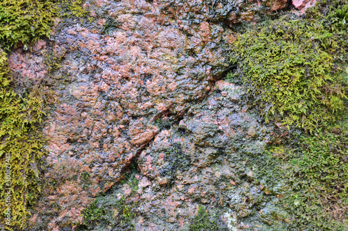 Moss covered granite stone surface