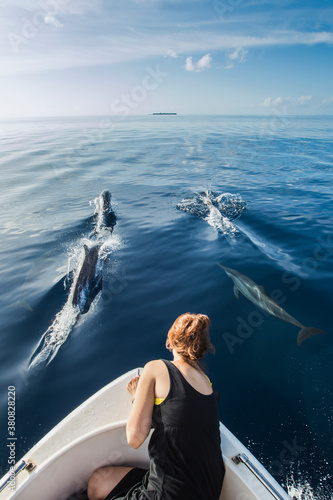 Dolphin Cruise Maldives photo