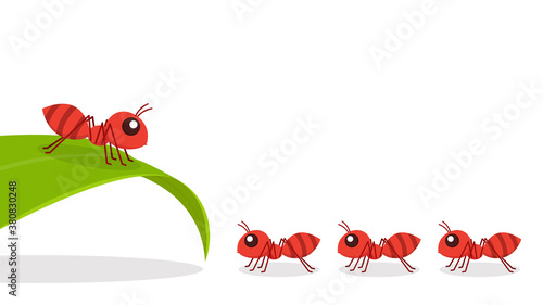 Ant vector. Ant on white background. free space for text. copy space. Ant on the leaf.