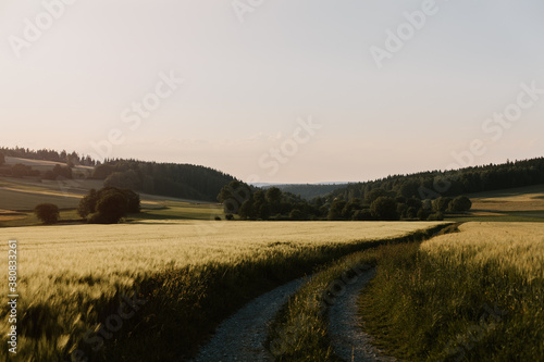 a path photo