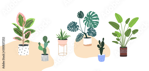 Home plants in flowerpot. Houseplants isolated. Set collection. Trendy hugge style, urban jungle decor. Hand drawn. Green, blue, pink, brown, beige, white colors. Print, poster, banner. Logo, label.