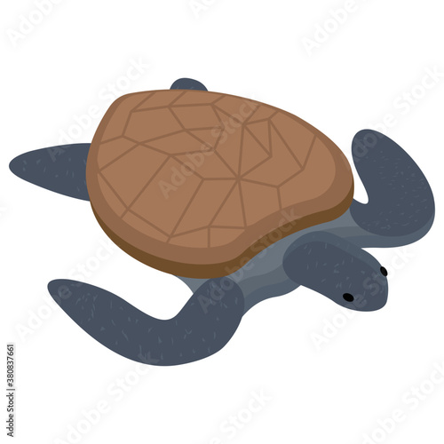 
Isometric  vector icon of sea turtle 
