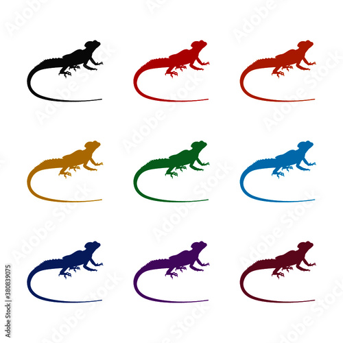 Lizard with long tail wild animal icon, color set