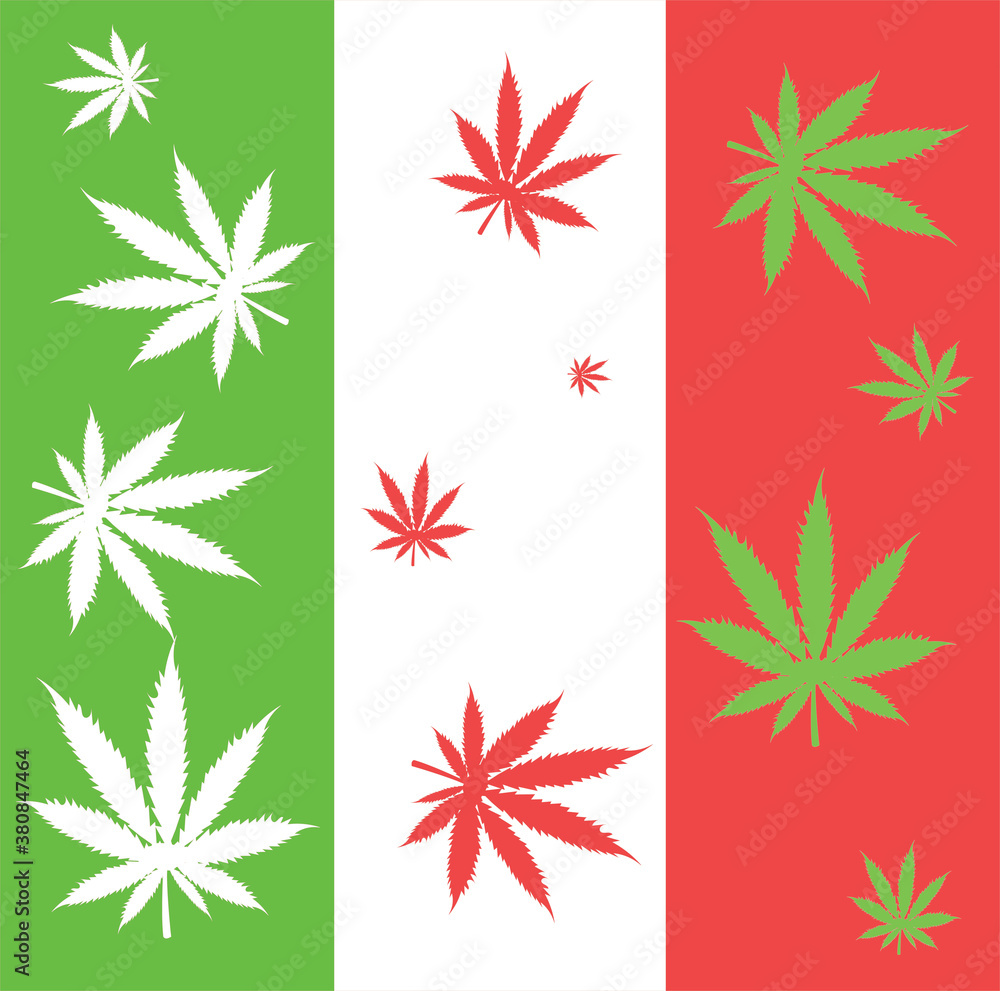 Legalization of marijuana in Italy. Italy flag with cannabis leaves. Legalization of marijuana in Italy. Italy flag with cannabis leaves.