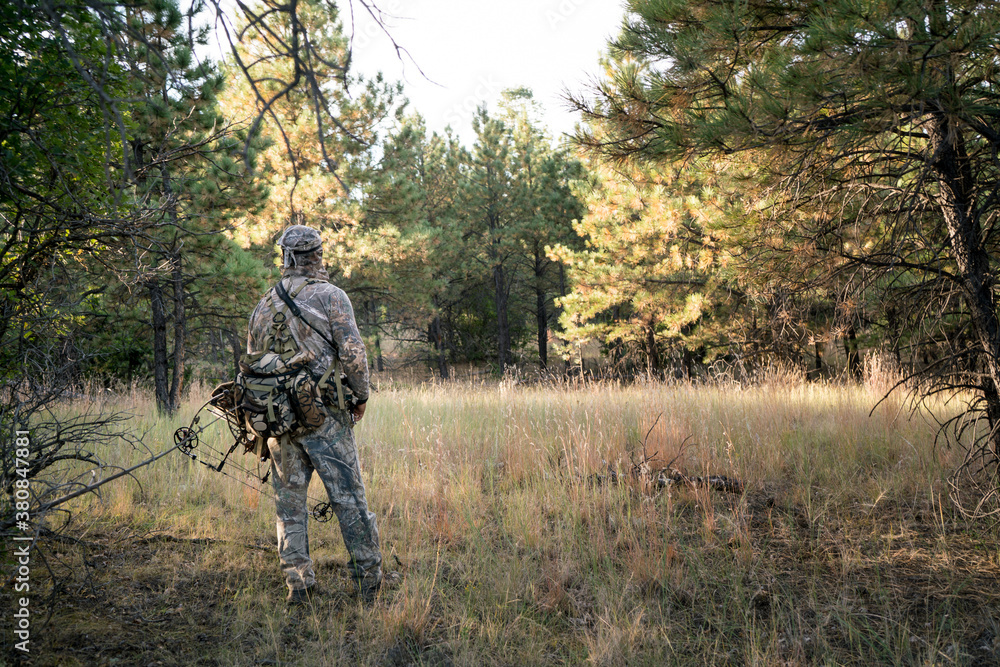 Elk Hunting in Colorado Elk Hunting in Colorado