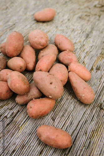 organic pink potatoes photo