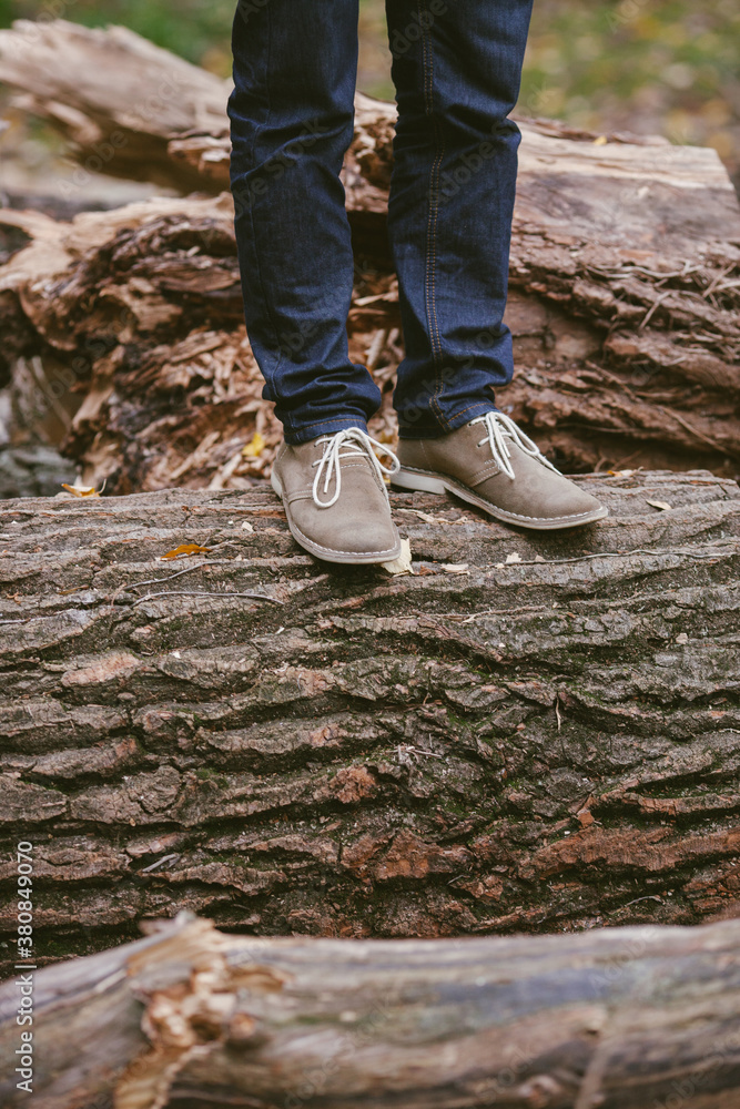 Person standing on a giant log Person standing on a giant log