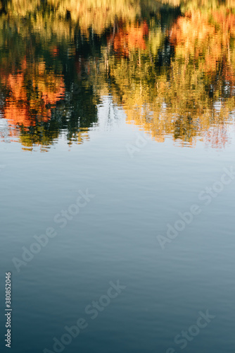 pond reflecting autumn leaves and blue sky photo