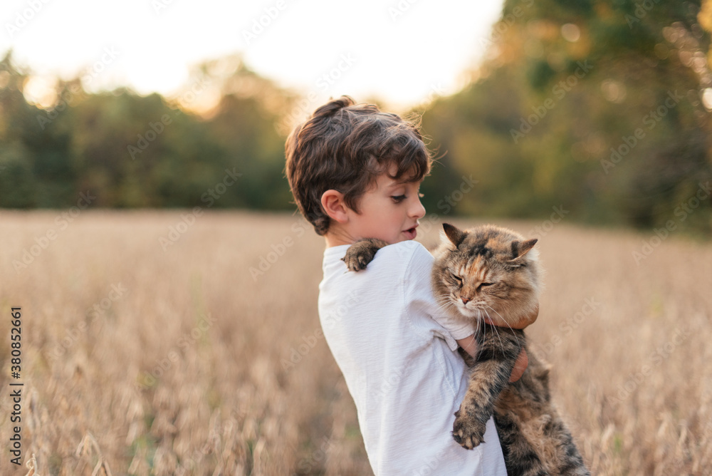 Kitty love Kitty love