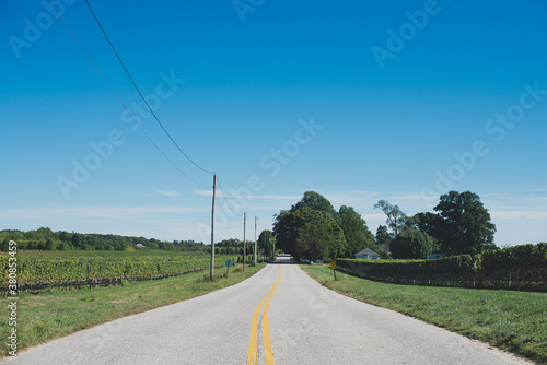 Country road photo