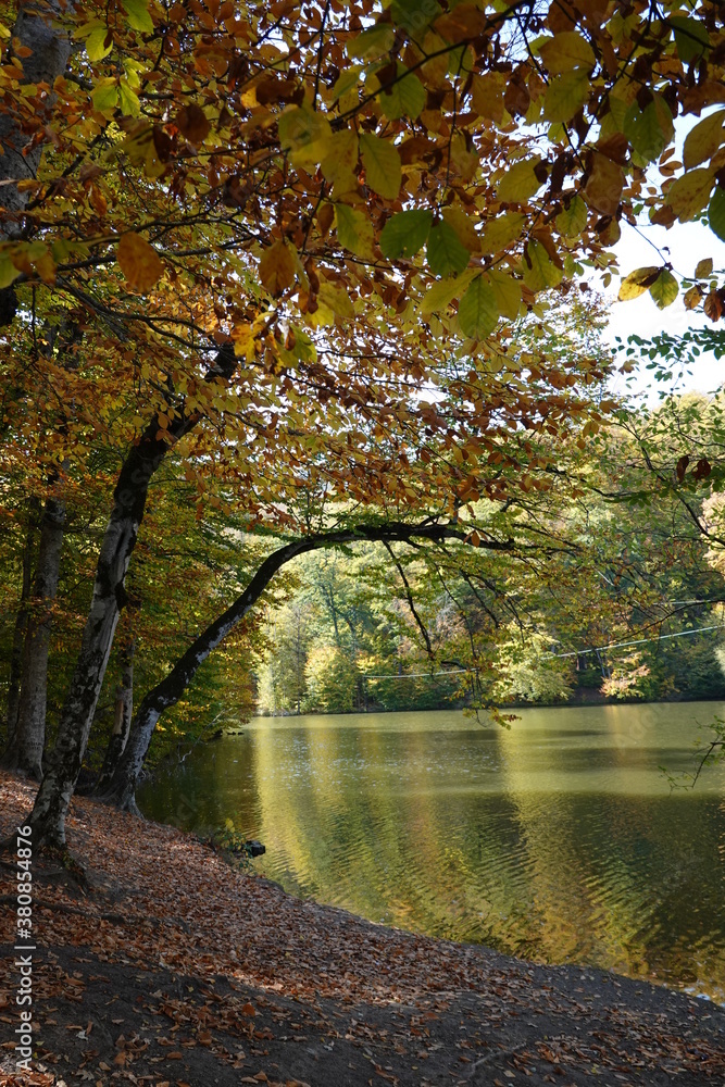 autumn in the park autumn in the park