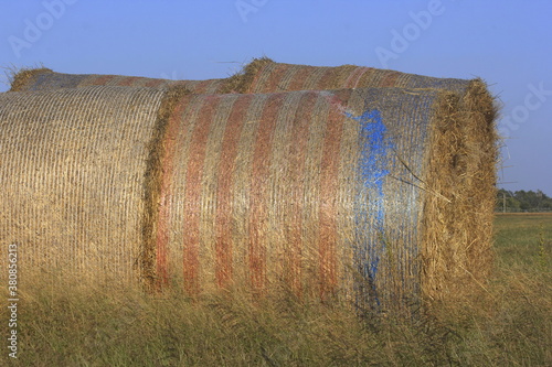 hay bales in the field with blue sky east of Sterling Kansas USA. photo