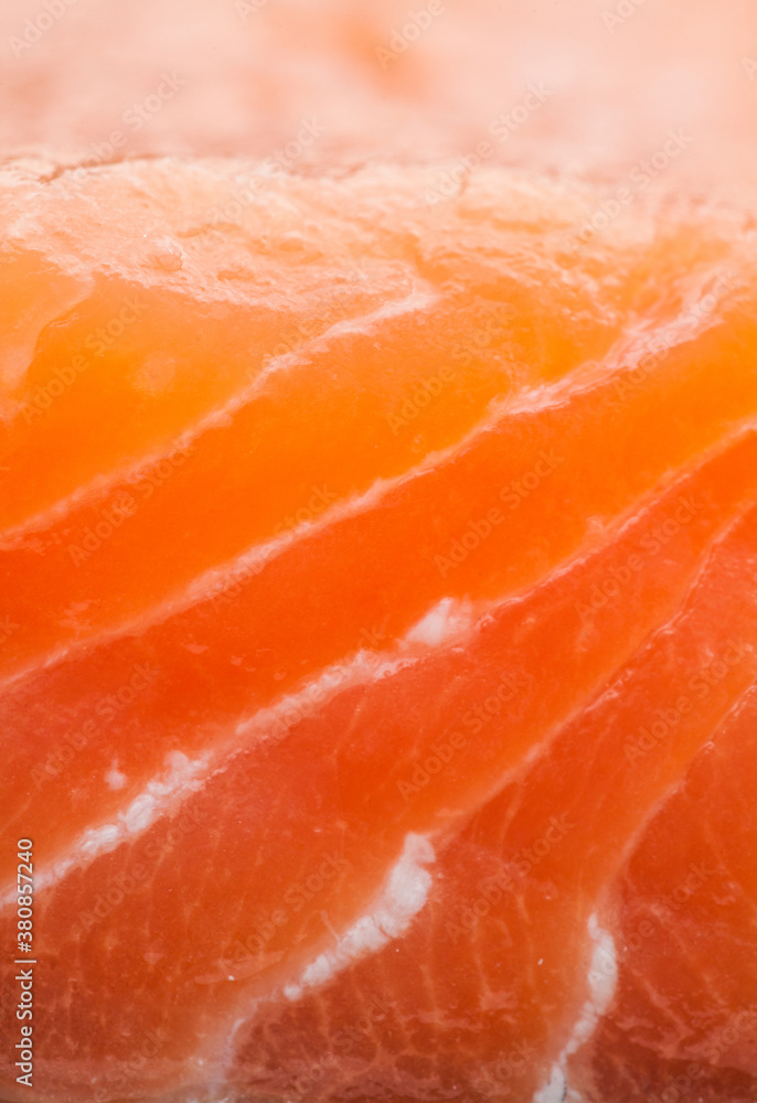Macro study of the cross section of a piece of Salmon Macro study of the cross section of a piece of Salmon
