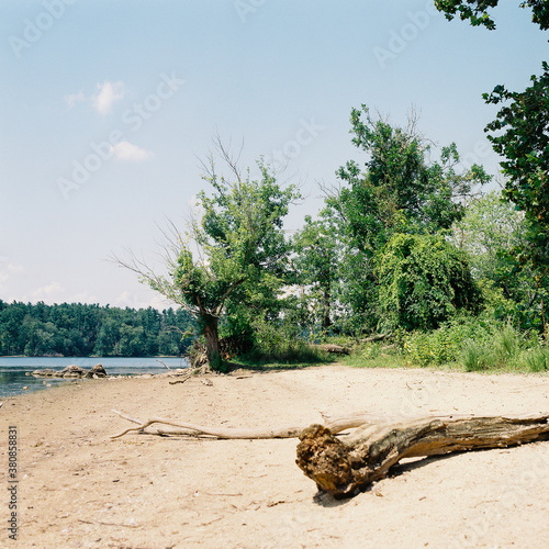 Log on the lake shore photo