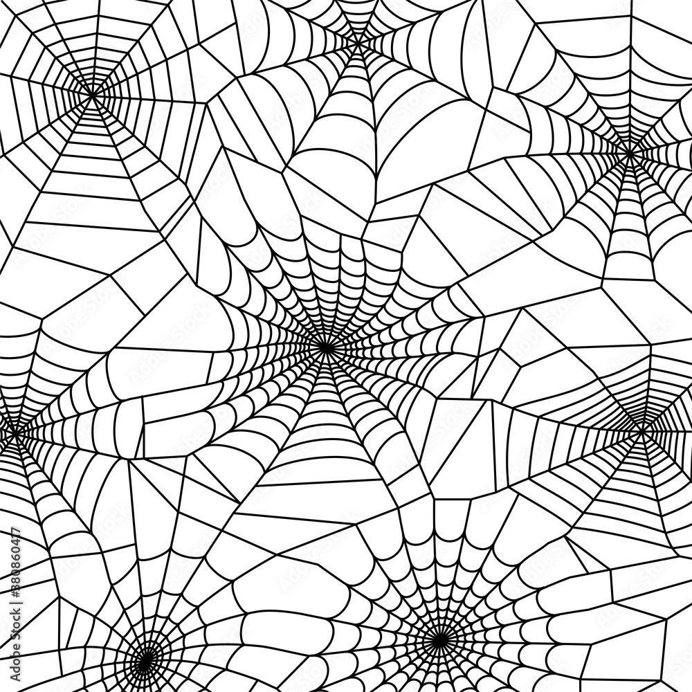 Obraz premium Spider web concept