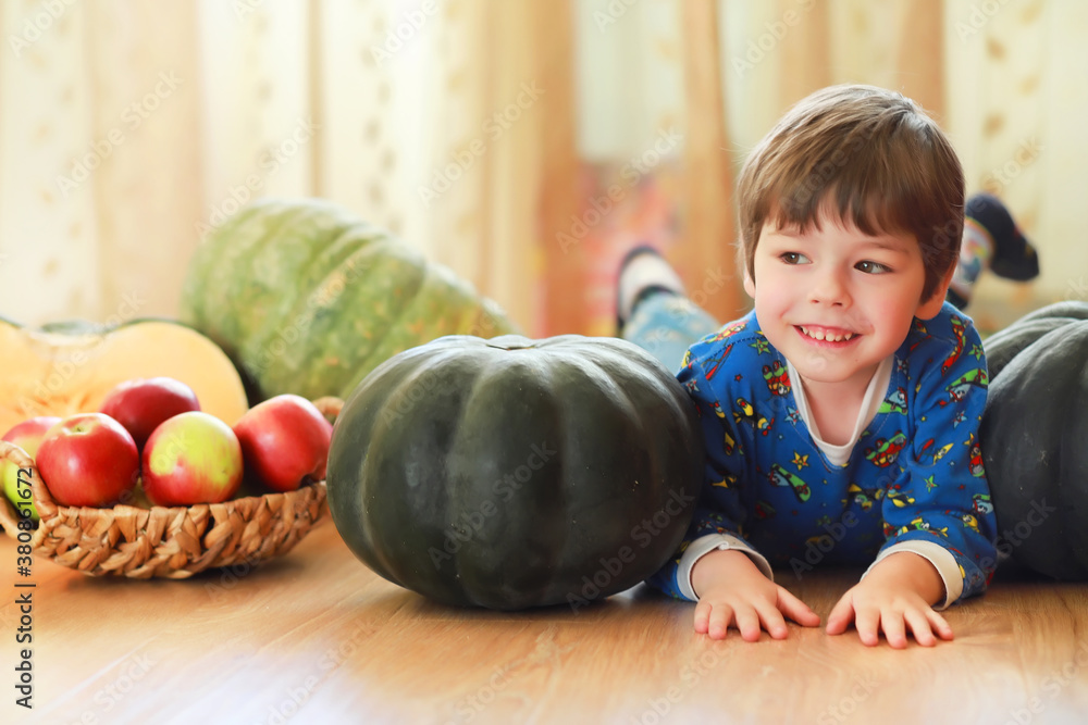 Fototapeta premium Little child choose a pumpkin at autumn. Child sitting on giant pumpkin. Pumpkin is traditional vegetable used on American holidays - Halloween and Thanksgiving Day.