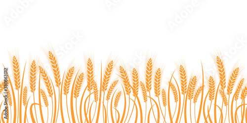 Vector silhouette of wheat. Silhouette. Wheat in the field on a white background