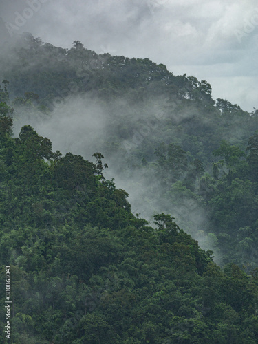 Photos of Fog and mountains at Khao yai National Park   Thailand.