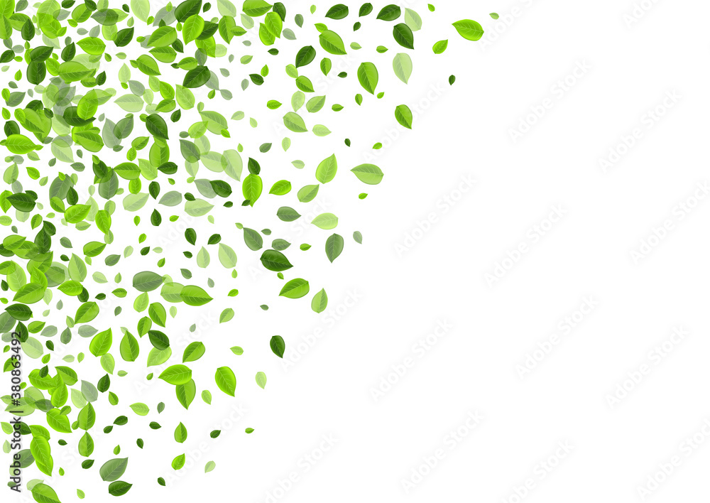 Mint Foliage Flying Vector Pattern. Swirl Leaves 