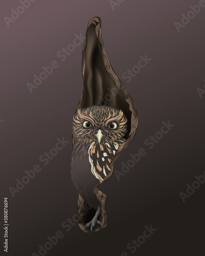 Owl in a hollow illustration. Book illustration template. Mysterious owl in a wood. 