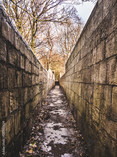 Walls of York photo