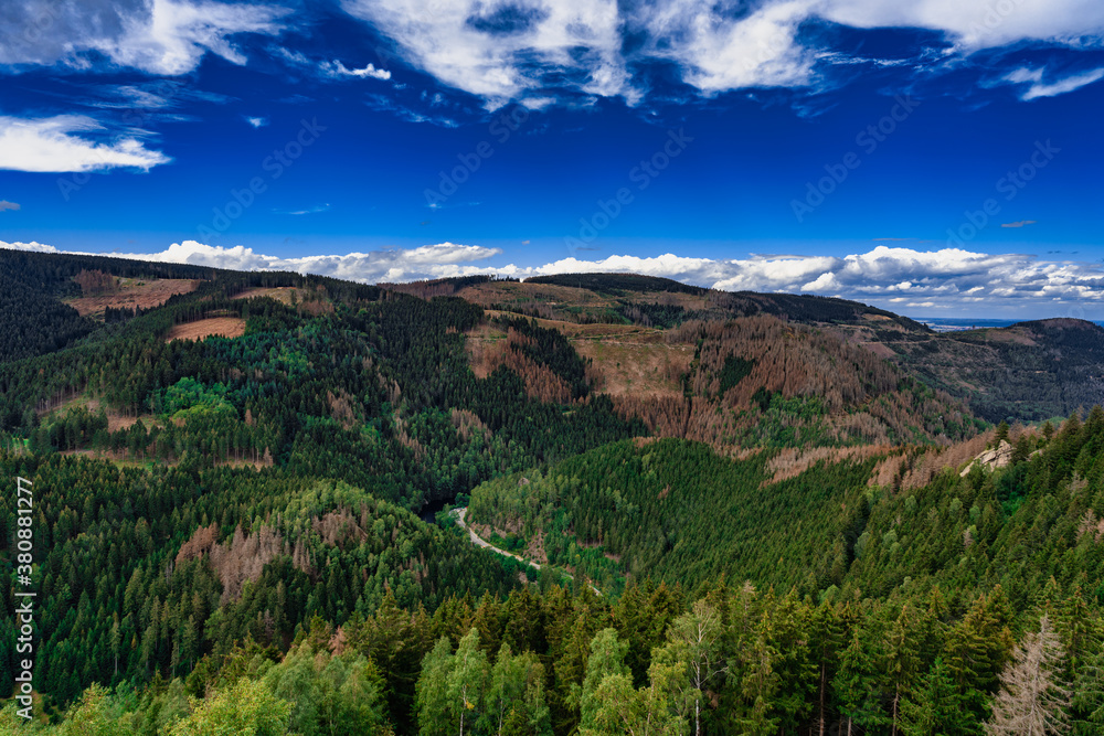 Naklejka premium Okertal Harzpanorama