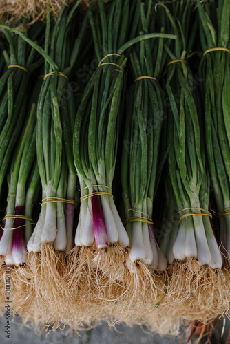 Farmers Market fresh bunch of organic onions photo