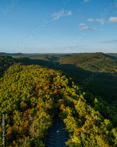 Road Through An Endless Forest. photo