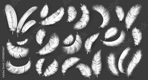 Realistic feathers. Fluffy 3D soft white bird empennage, goose and swan weightless plume in different angles, symbol of lightness element for design eco products isolated on dark background vector set