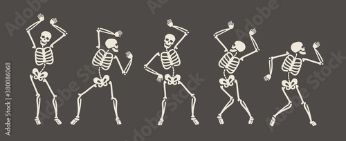 Funny skeletons dancing. Day of Dead, Halloween concept vector illustration