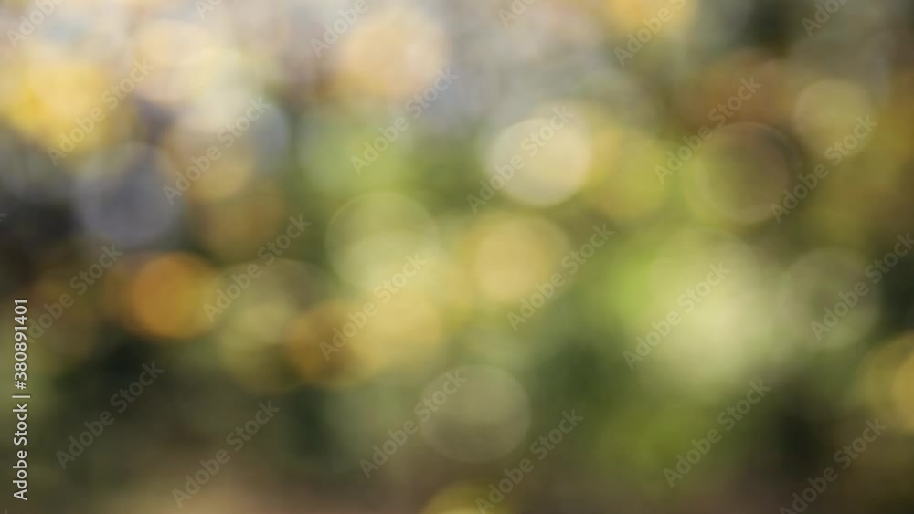 Background colorful blur Background colorful blur