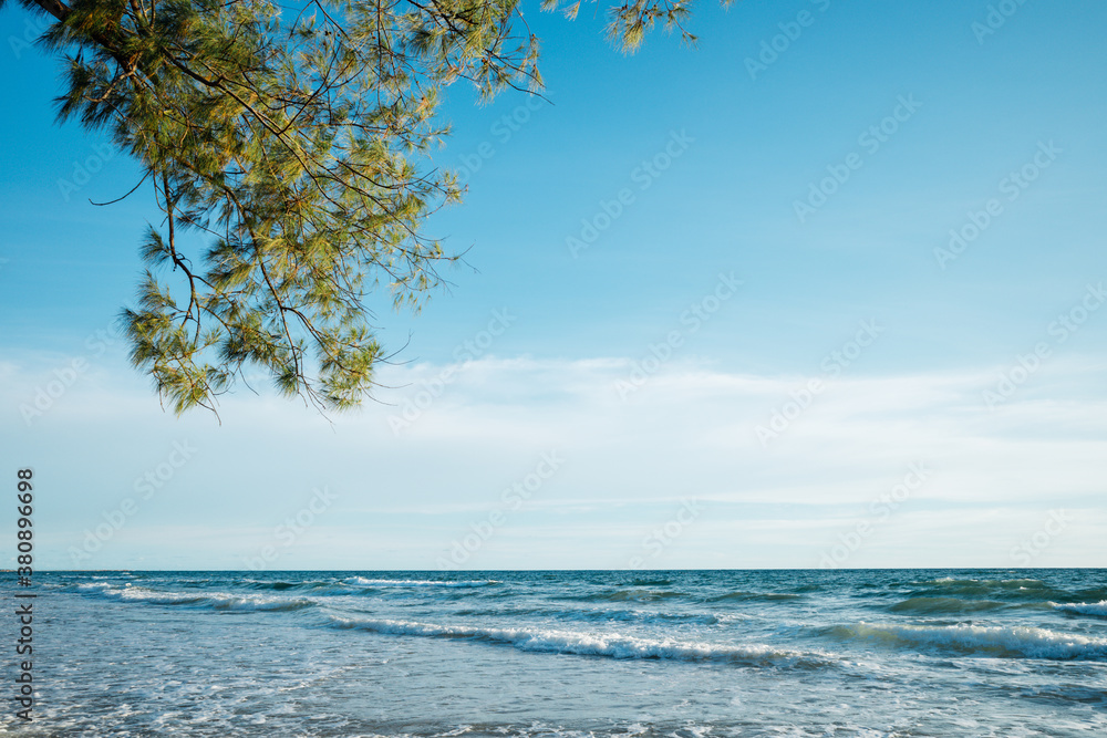 Branch with green leaves on a background of blue sky and sea Branch with green leaves on a background of blue sky and sea