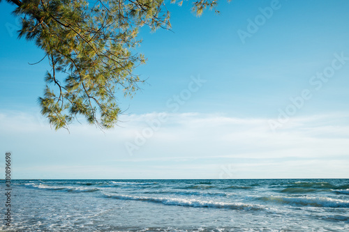 Branch with green leaves on a background of blue sky and sea