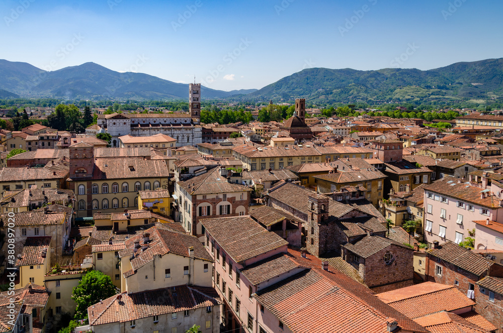 View of old city Lucca from the Torre Guinigi - Lucca,  Tuscany, Italy