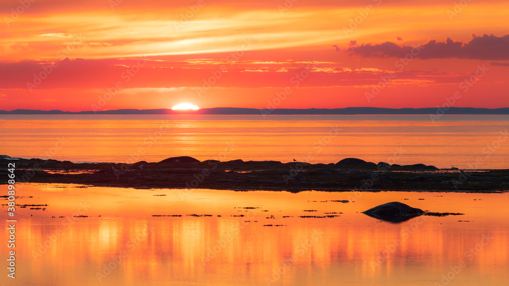 Fototapeta premium Colorful orange sunset with one seagull on island