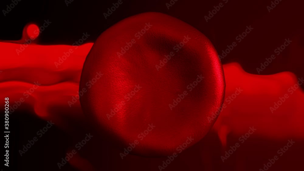 red blood cells in an artery, flow inside body, medical human health ...