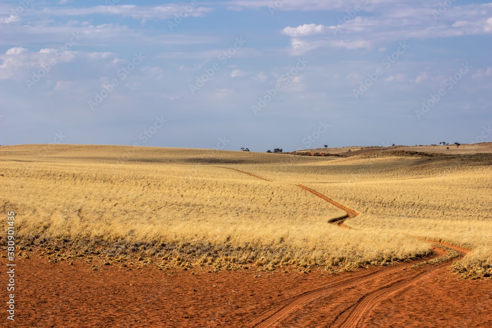Namibia Grasslands