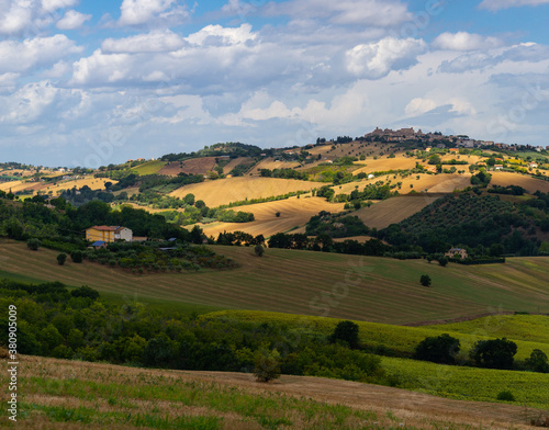 colline Marche paesaggi 